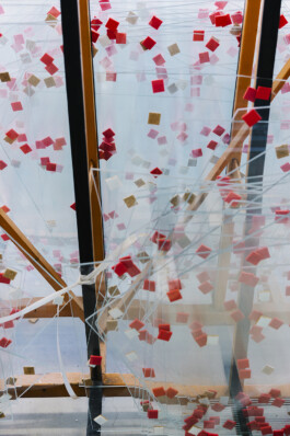 Xavier Antoinet - Photography