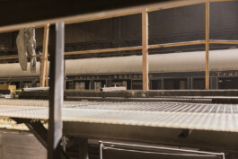 Xavier Antoinet - Photography