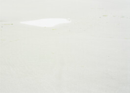 Xavier Antoinet - Photography