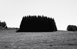 Xavier Antoinet - Photography