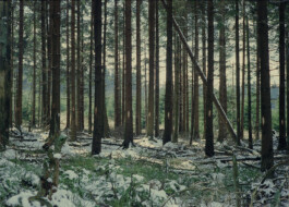 Xavier Antoinet - Photography