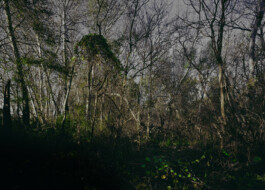 Xavier Antoinet - Photography