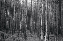 Xavier Antoinet - Photography