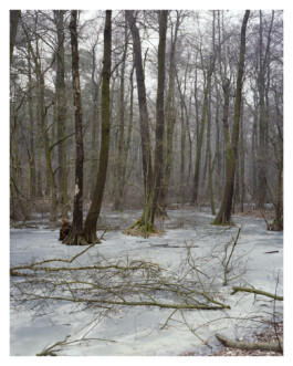 Xavier Antoinet - Photography