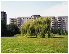 Xavier Antoinet - Photography