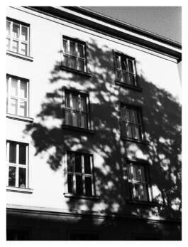 Xavier Antoinet - Photography