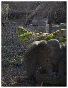 Xavier Antoinet - Photography