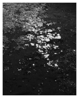 Xavier Antoinet - Photography