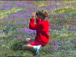 Xavier Antoinet - Photography