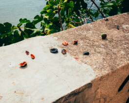 Xavier Antoinet - Photography