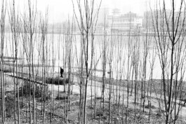 Xavier Antoinet - Photography