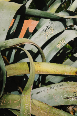 Xavier Antoinet - Photography