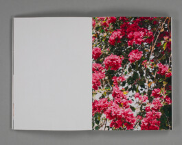 Xavier Antoinet - Photography