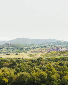 Xavier Antoinet - Photography