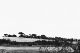 Xavier Antoinet - Photography