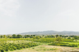 Xavier Antoinet - Photography