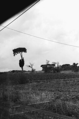 Xavier Antoinet - Photography