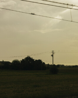 Xavier Antoinet - Photography