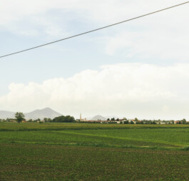 Xavier Antoinet - Photography