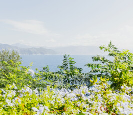 Xavier Antoinet - Photography