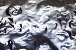 Xavier Antoinet - Photography