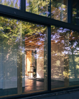 Xavier Antoinet - Photography