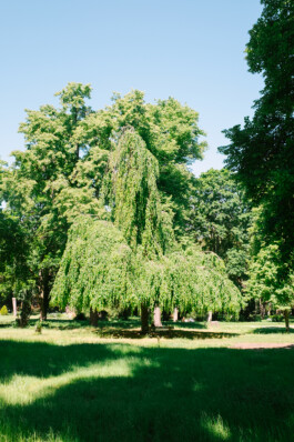 Xavier Antoinet - Photography