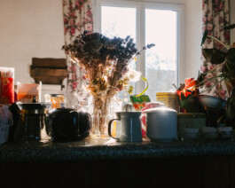 Xavier Antoinet - Photography