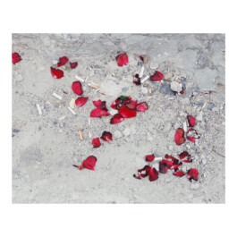 Xavier Antoinet - Photography