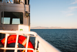 Xavier Antoinet - Photography