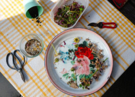 Xavier Antoinet - Photography