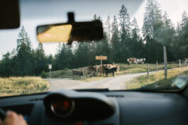 Xavier Antoinet - Photography