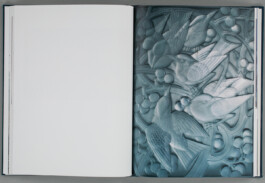 Xavier Antoinet - Photography