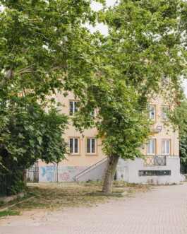 Xavier Antoinet - Photography