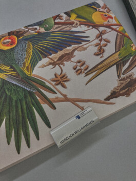 Xavier Antoinet - Photography